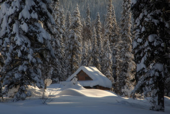 Картинка города -+здания +дома зима лес снег избушка ели сугробы хижина россия