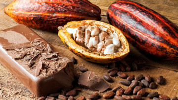 Картинка еда орехи +каштаны +какао-бобы бобы какао