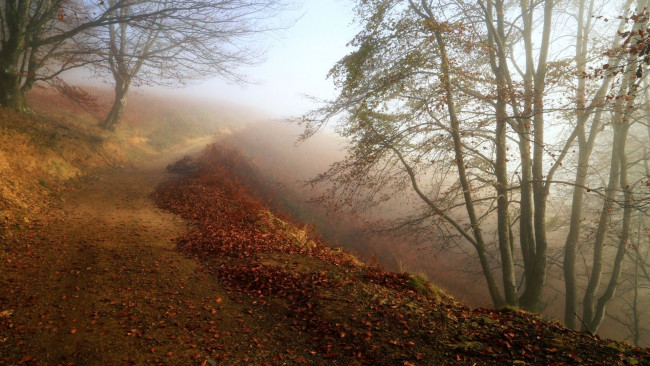 Обои картинки фото природа, дороги, туман, осень
