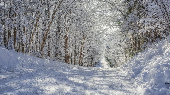 Обои картинки фото природа, дороги, зима, дорога