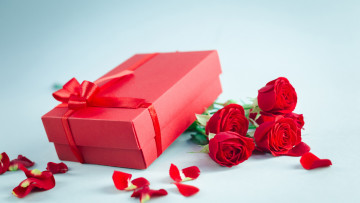 обоя праздничные, подарки и коробочки, бант, лепестки, розы, коробка, подарок