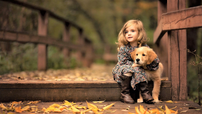 Обои картинки фото разное, дети, девочка, собака, мост, листья