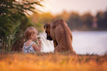 Картинка разное дети девочка собака берег озеро