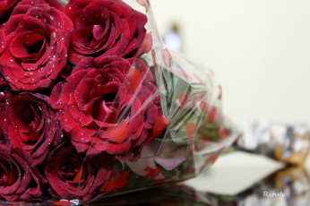 Картинка цветы розы бордовый блестки букет