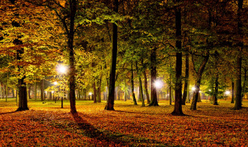 Картинка польша kozuchоw природа парк огни фонари