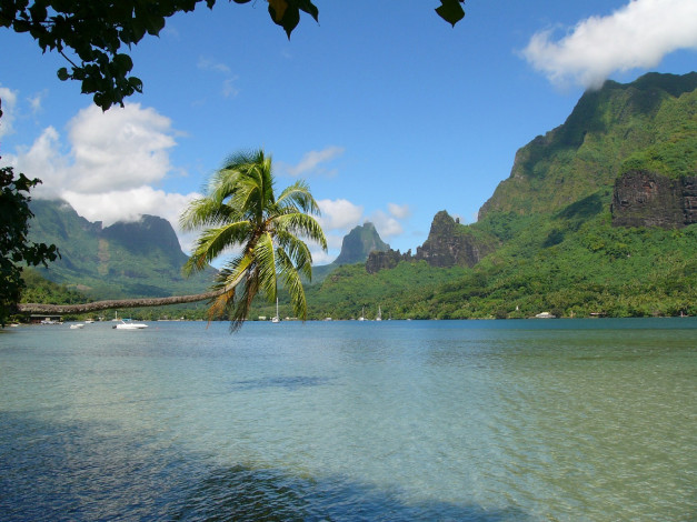 Обои картинки фото природа, тропики, пальма, лодки, море, горы