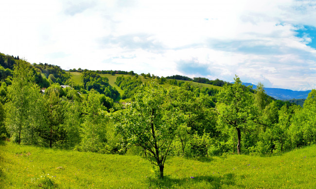 Обои картинки фото словения, трбовле, природа, деревья, трава, лето