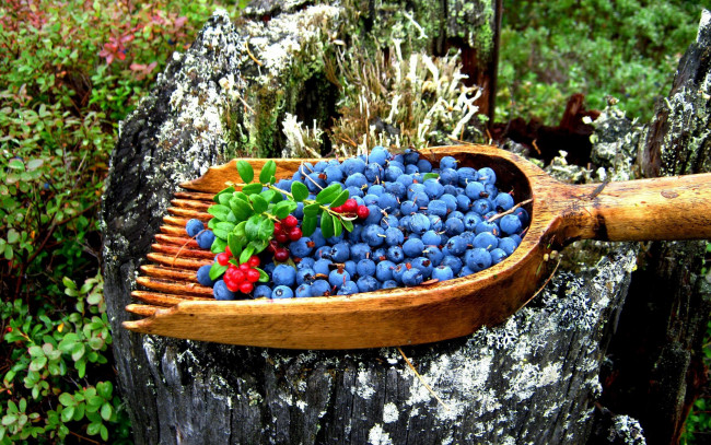 Обои картинки фото еда, фрукты, ягоды, ковш, брусника, голубика