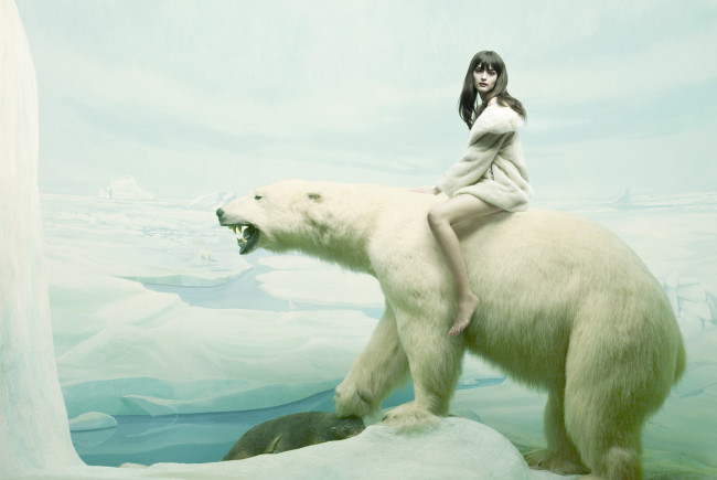 Обои картинки фото -Unsort Креатив, креатив, медведь, шубка