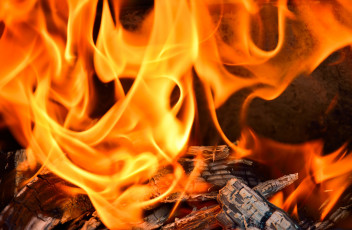 Картинка природа огонь дрова камин жар пламя