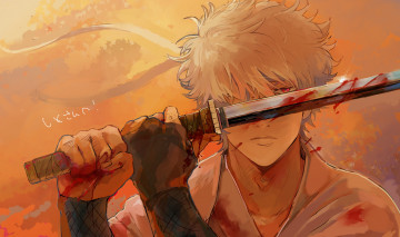 Картинка аниме gintama парень гинтоки взгляд меч гинтама арт