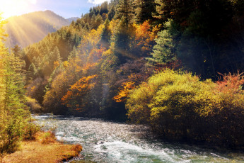 Картинка природа реки озера осень деревья