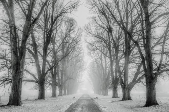Картинка природа дороги деревья снег дорога