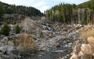 Картинка природа реки озера лес камни поток