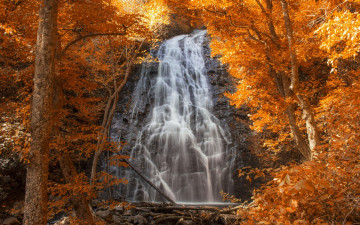 Картинка природа водопады водопад лес осень скала