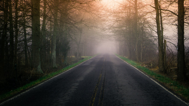 Обои картинки фото природа, дороги, туман, дорога, утро