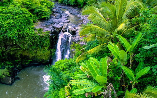 Обои картинки фото природа, водопады, поток, пальмы