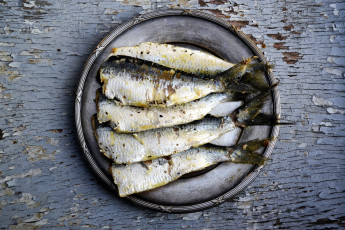 Картинка еда рыба +морепродукты +суши +роллы сардины