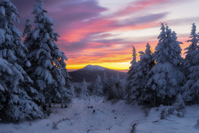 Обои картинки фото природа, зима, россия, солнечный, свет, деревья, снег, холод