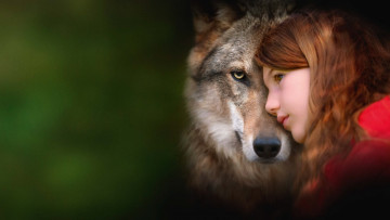 Картинка mystere+||+2022 кино+фильмы mystere мой волк семейный shanna keil виктория