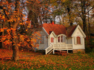 обоя города, здания, дома, деревья, дерево, дом, пейзаж, природа, листья, осень