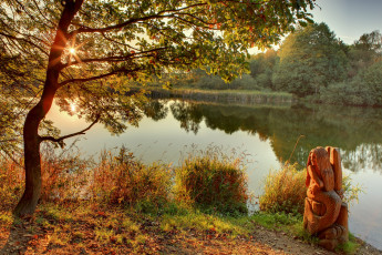 Картинка природа реки озера солнце дерево фигурка