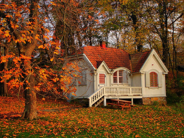 Обои картинки фото города, здания, дома, деревья, дерево, дом, пейзаж, природа, листья, осень