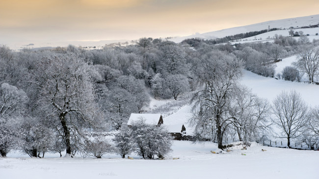 Обои картинки фото природа, зима, дом, деревья, снег
