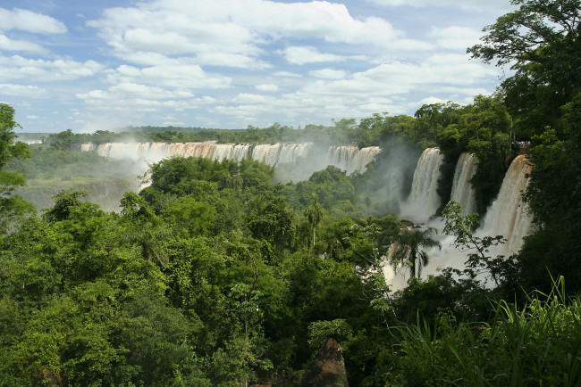 Обои картинки фото iguazu, falls, природа, водопады, деревья, потоки, воды