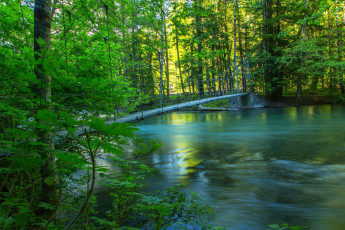 Картинка природа реки озера река лес мост