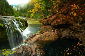 обоя gifford pinchot national forest  washington, природа, водопады, лес, водопад, камни, река