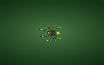 обоя паук, рисованные, минимализм, spider, зеленый