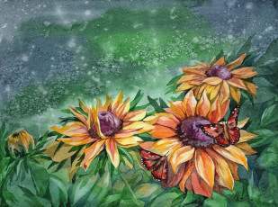 Картинка рисованное цветы лето листья бабочки лепестки природа