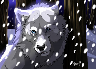 Картинка рисованное животные +волки взгляд волк