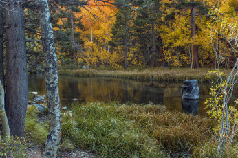 Картинка природа реки озера лес река осень