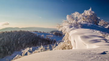 Картинка природа зима снег деревья горы небо
