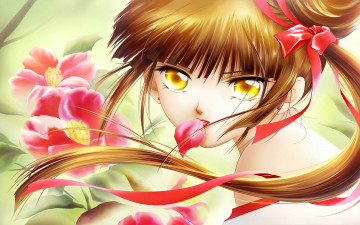Картинка аниме vampire+princess+miyu цветы ленточка волосы взгляд лицо девушка принцесса vampire princess miyu
