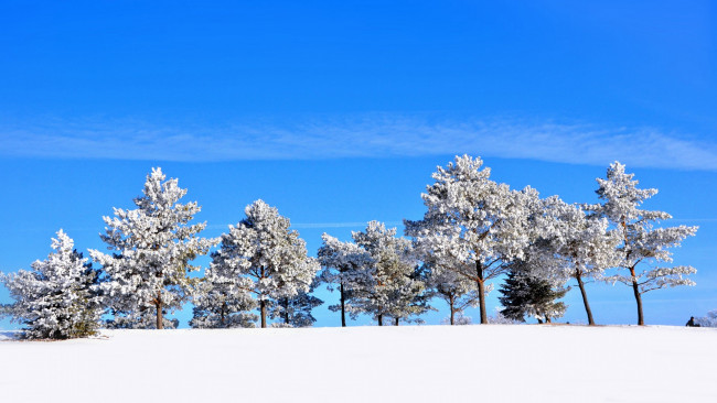 Обои картинки фото природа, зима, холм, снег, деревья, небо