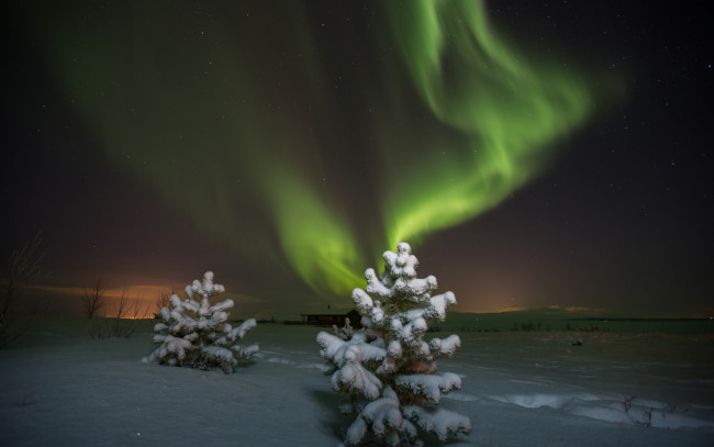 Обои картинки фото природа, северное сияние, звезды, aurora, borealis, ночь, северное, сияние, зима
