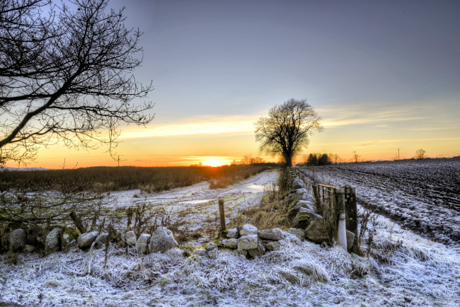 Обои картинки фото природа, восходы, закаты, поле, трава, снег, заря