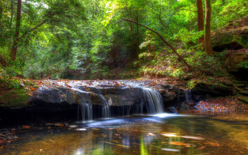 Картинка природа водопады лес поток камни