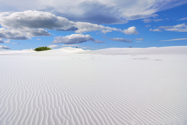 Обои картинки фото white sands new mexico, природа, пустыни, mexico, new, песок, sands, white, пейзаж, пустыня