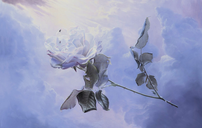 Обои картинки фото небесный путь, рисованное, алексей антонов, роза, цветок, голубая, облака
