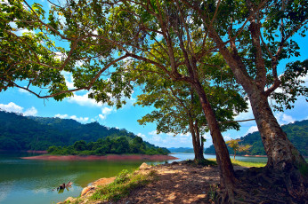 обоя pedu lake,  kedah,  malaysia, природа, реки, озера, деревья, озеро, остров, малайзия, malaysia, kedah, pedu, lake