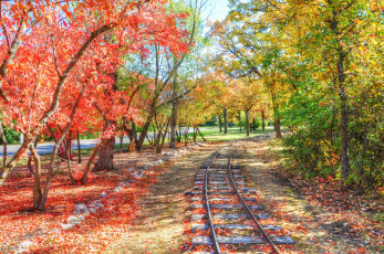 Картинка природа дороги рельсы осень листья деревья
