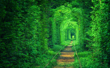 обоя природа, дороги, тоннель