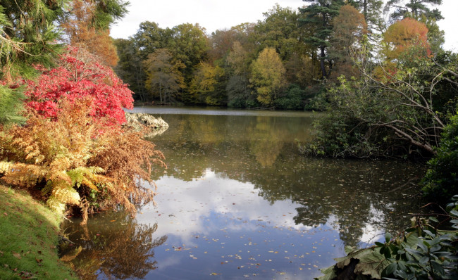 Обои картинки фото природа, реки, озера, осень, деревья, озеро