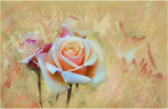 Обои картинки фото рисованные, цветы, розы