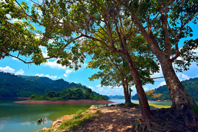 Обои картинки фото pedu lake,  kedah,  malaysia, природа, реки, озера, деревья, озеро, остров, малайзия, malaysia, kedah, pedu, lake