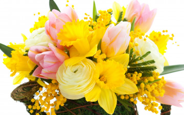 Картинка цветы букеты +композиции petals bouquet mimosa yellow narcissus pink bright flowers tulips розовые тюльпаны листья букет мимоза жёлтые нарциссы красота лепестки